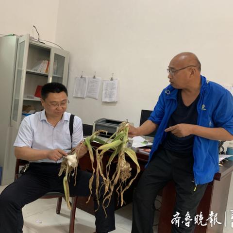 (地球7级文明)探索人类未来命运：揭秘地球七级文明的兴衰征兆