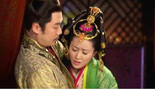 (皇上吉祥百度百科)皇上吉祥2：忠臣艳遇，宫廷阴谋，权谋情深