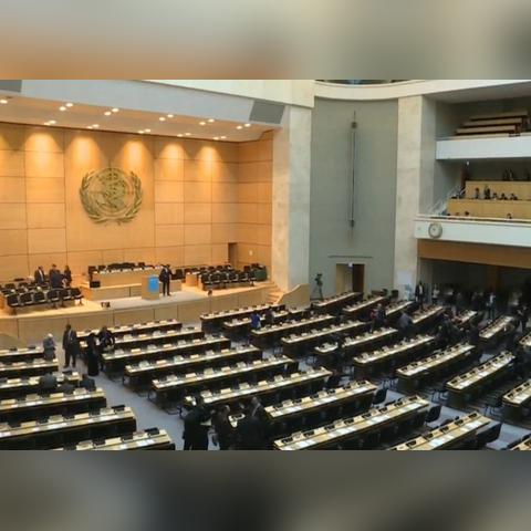 老澳门开奖结果2024开奖记录查询|全面了解最新正品的解答与应用_还原型.7.826