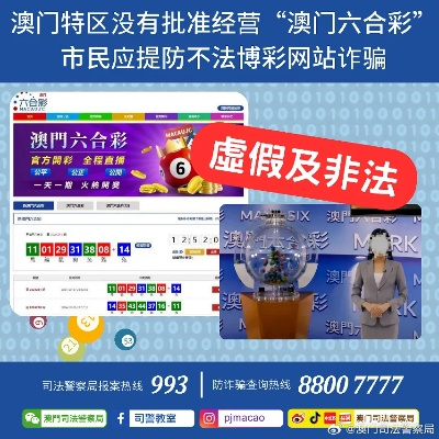 澳门正版精准免费|定量解答解释落实_Gold.5.483