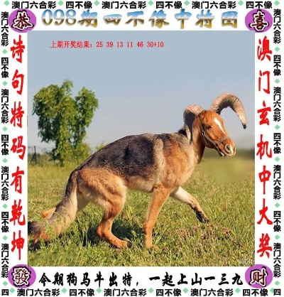 2024今晚开的四不像生肖图|经典解答解释落实_经典版APP.3.338